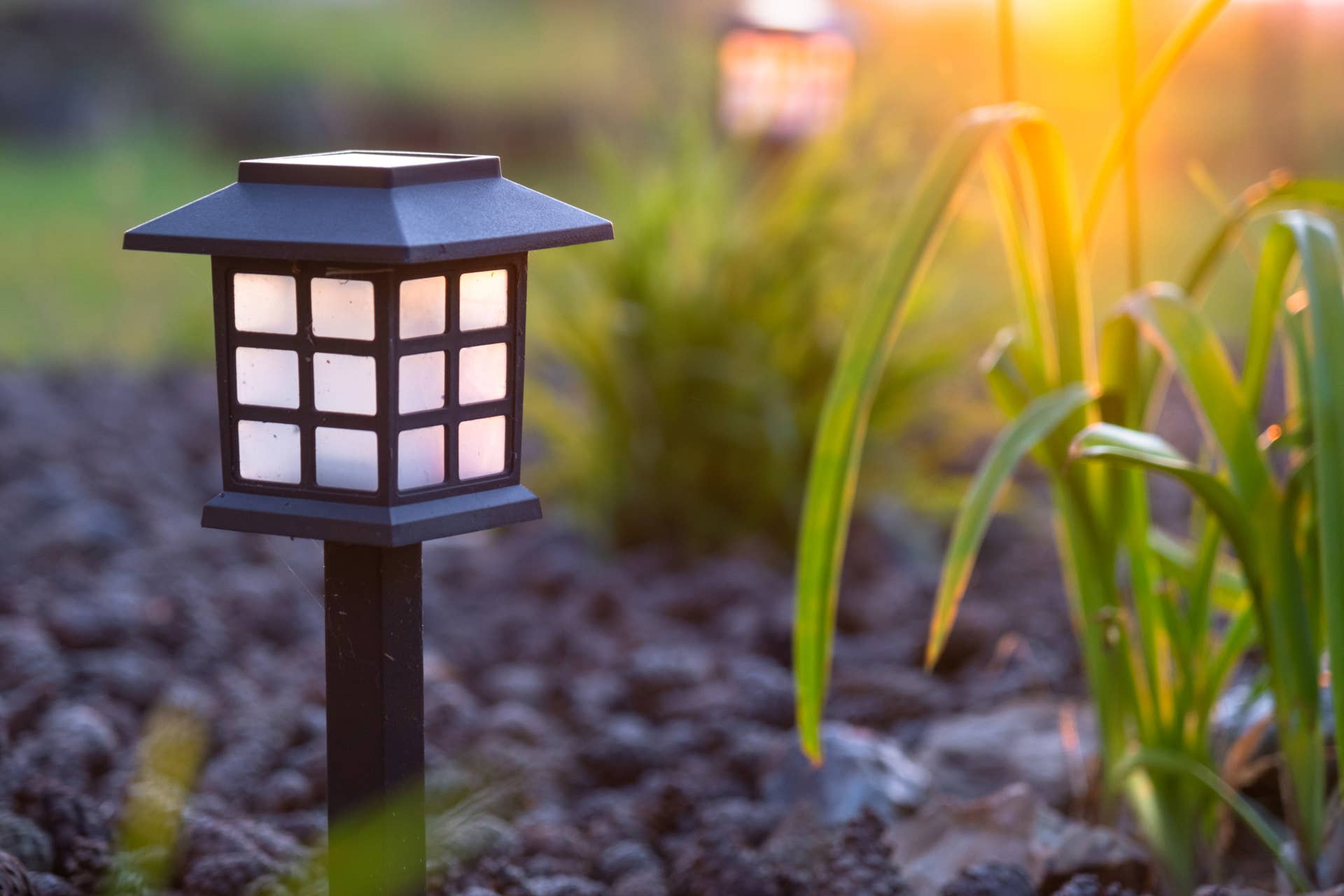 Solar garden lamp beside ornamental grasses in a mulched flower bed