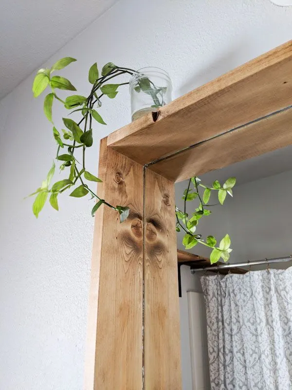 Close-up of a DIY natural wood mirror frame, with a trailing plant in a jar resting on the top edge of the frame.